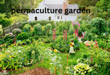 permaculture garden