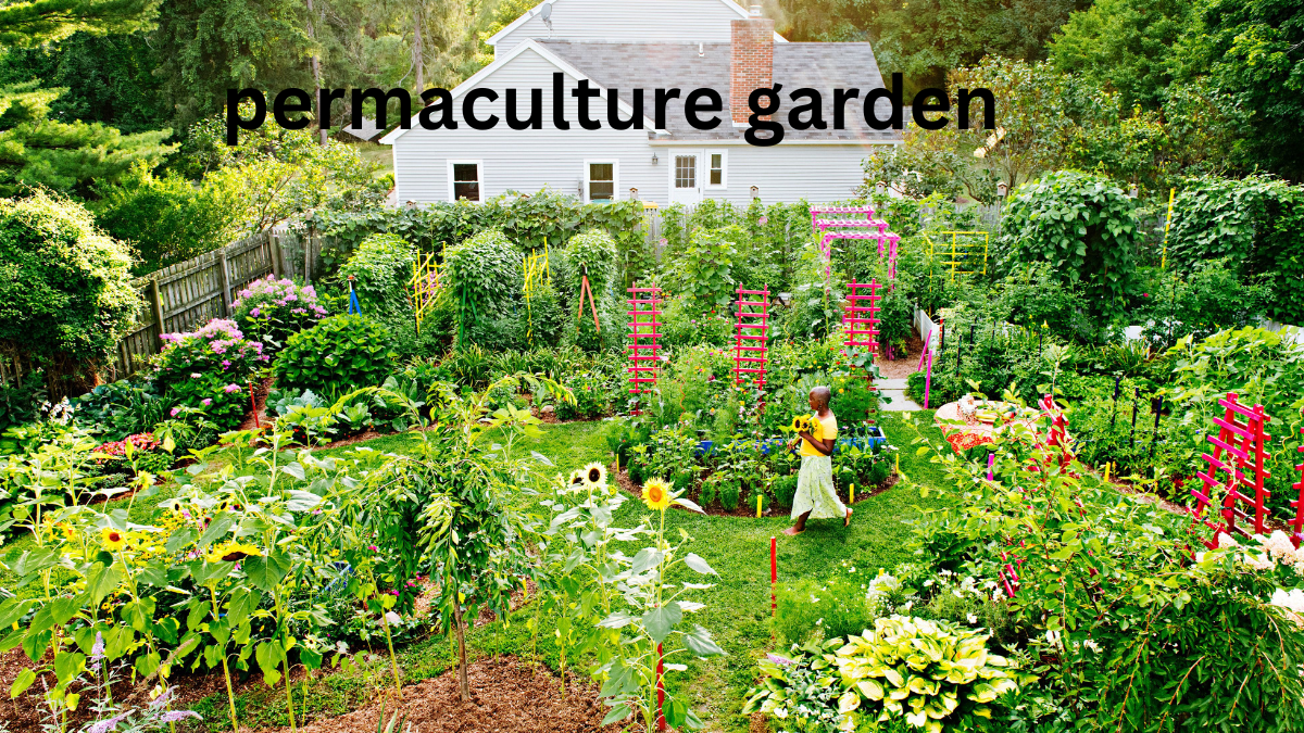 permaculture garden